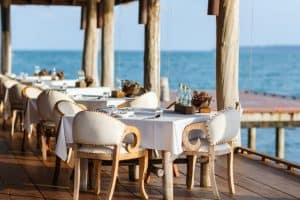 מקומות בילוי =במיוחד לחיות מחמד 